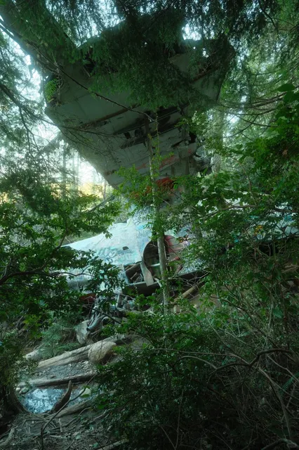 🇨🇦 ​​Van Isle Hidden Gem: The Canso Plane Crash Site​​ ✈️🌲
