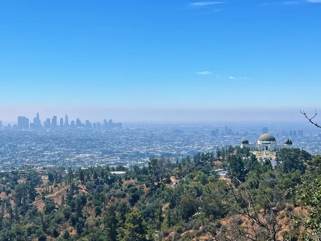 Los Angeles Hiking | Scenery Catcher: Glendale Peak Trail