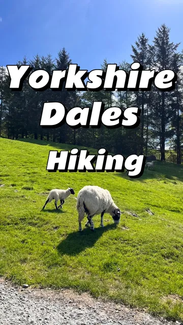 Hiking Through the Yorkshire Dales 🌿 | 9⃣️ Classic Routes