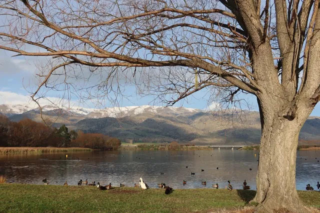 🇳🇿 The Road to Wanaka Stole the Show!