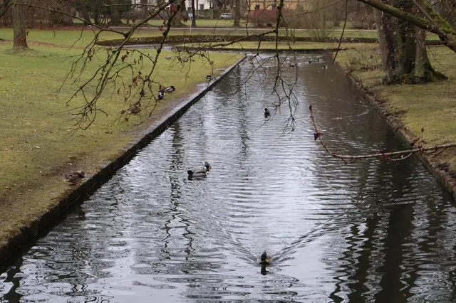 🇩🇪 Bayreuth: Where Baroque Grandeur Meets Hidden Gems ✨