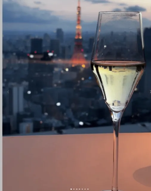 The view of Tokyo Tower is absolutely stunning(2)