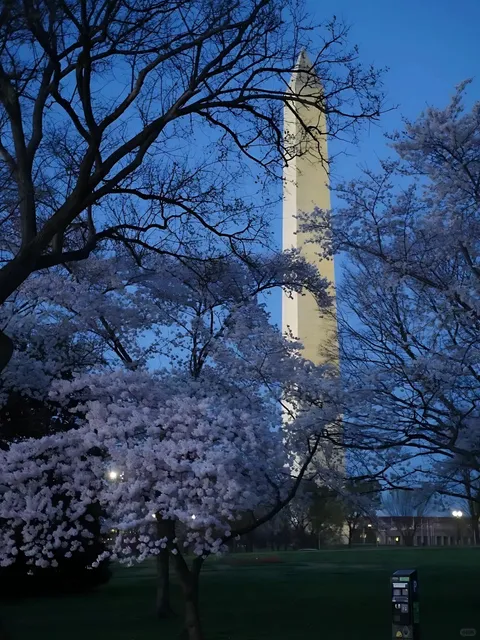 🇺🇸 Washington DC Travel Guide 