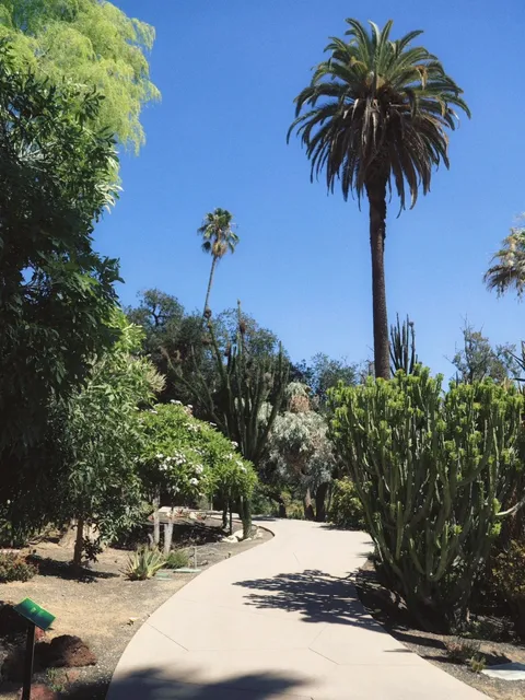 Two Hours of Peace 🍃 Healed by the Huntington Botanical Gardens