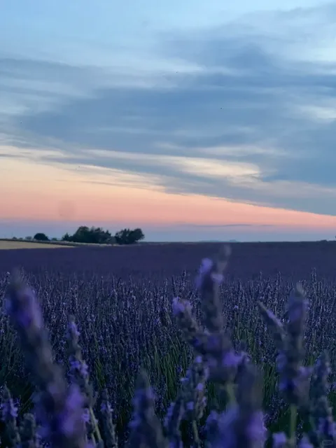 Provence, France 🇫🇷 | "Dreams Link Once More" Vibes