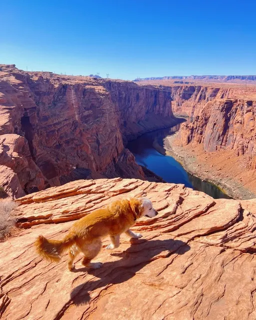 🌄🌶️Horseshoe Bend