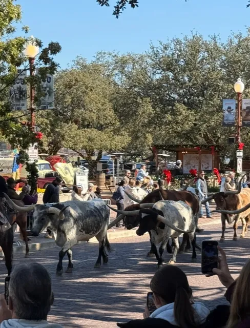 The Ultimate One-Day Dallas Tour with Your Dog