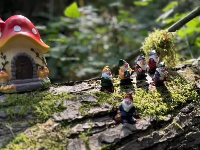 Seattle Stroll with Kids | A Quest to Find the Little Elves 🧚