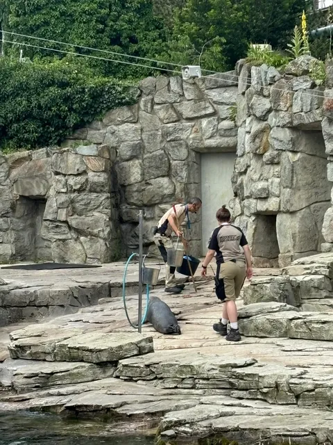 photo-2