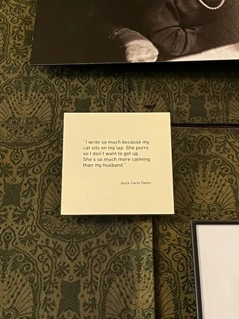 Amsterdam Cat Museum 🐈