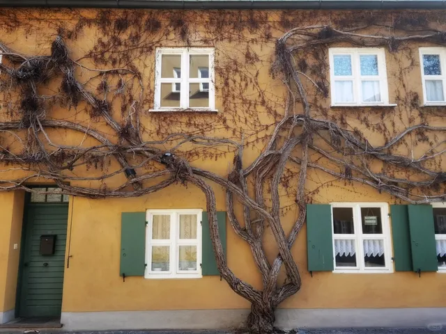 🇩🇪 A Perfect Day in Augsburg: Where History Comes Alive💕