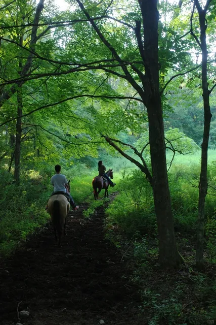 Escape Manhattan Plan