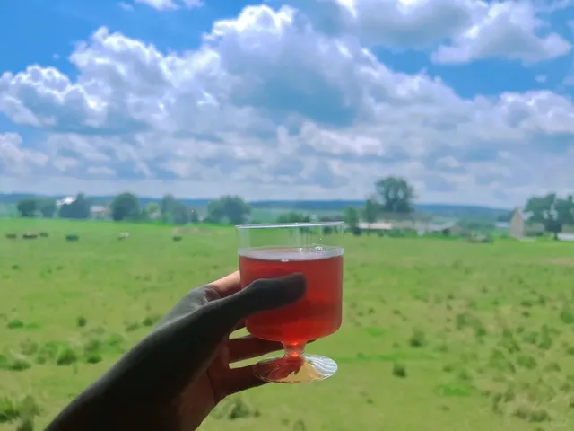 Pennsylvania Lancaster｜Amish Village Was So Healing 💛