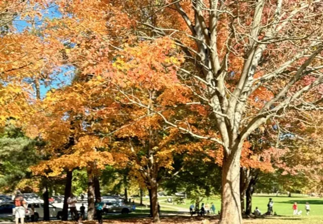 🏰 Squire's Castle | Cleveland's Storybook Stone Ruin