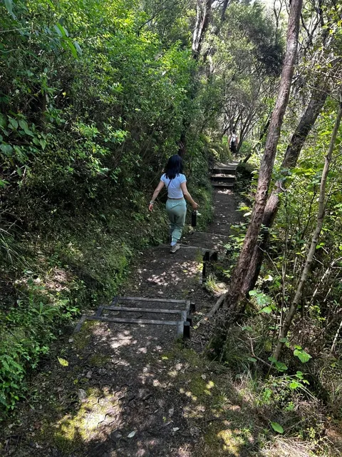 🌿 Hidden Gem Alert! Cook Cove Walkway near Gisborne 🏞️