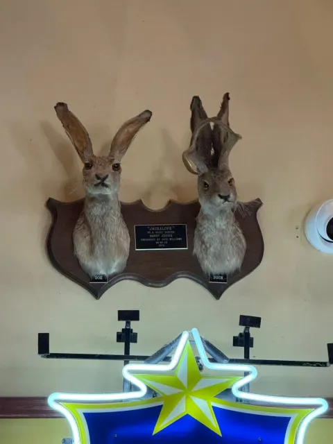 Stop by the Buckhorn Saloon for a Beer & Sights – You Won’t Regret It!