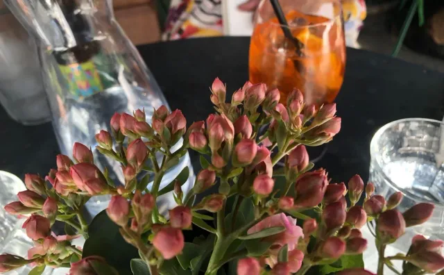 The Ivy St. John’s Wood – Our All-Time Favourite