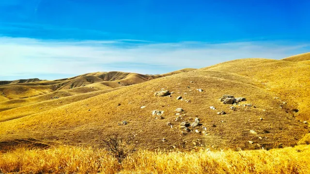 Day 9: Williams, AZ → Fresno, CA 🌵🚗💨