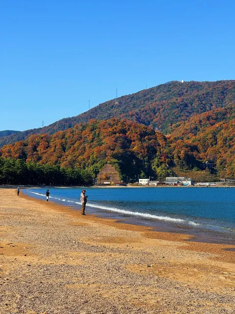 Tsuruga Museum Street 