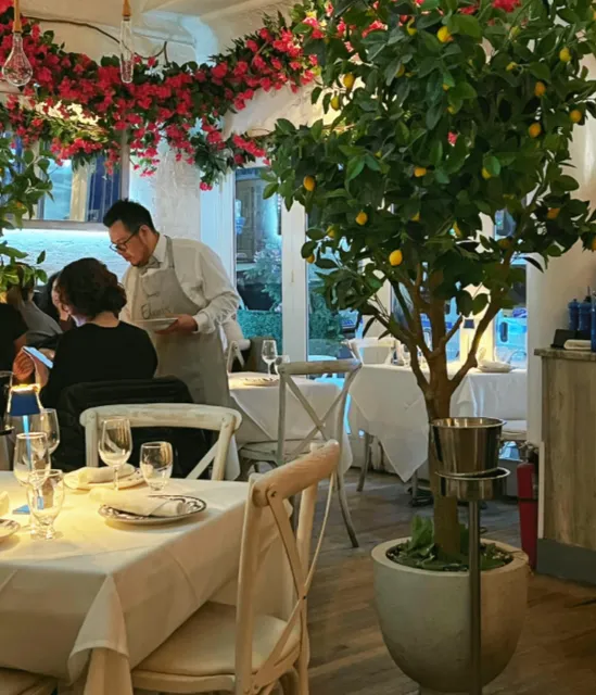 New York Greek restaurant! One second through the Aegean Sea 🇬🇷