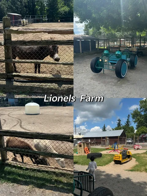 ​​✨☀️ Lionel's Farm 🔥🌿 $10 for a Day of Farm Fun!​​