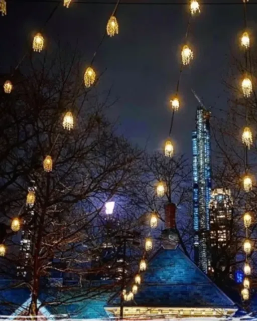 🎄✨ Tavern on the Green 🌟