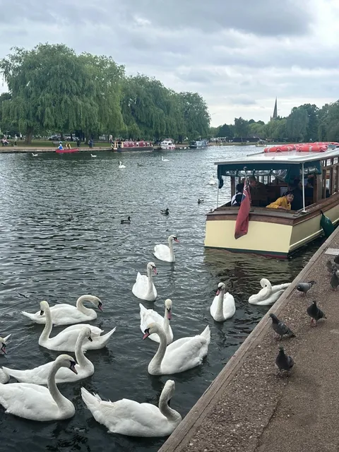 Birmingham Day-Trip | Shakespeare’s Town 