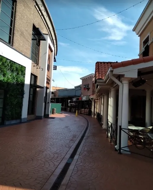 Dinner Was Really Delicious!