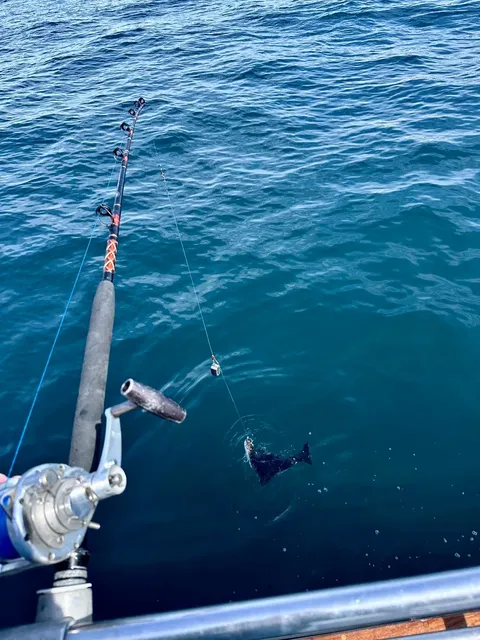 Alaska Summer Trip Guide