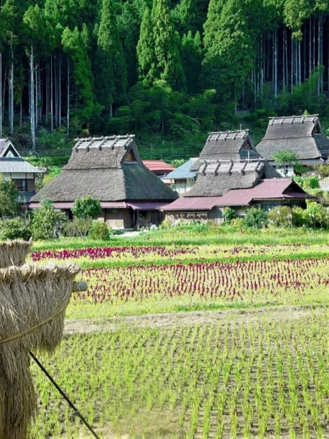 | Discovering Unique Off-the-Beaten-Path Spots in Japan's Kansai Regio