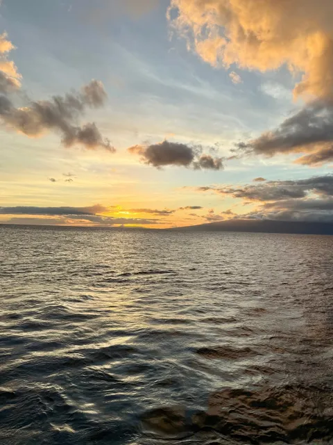 WORTH IT! 🌺🌺🌺