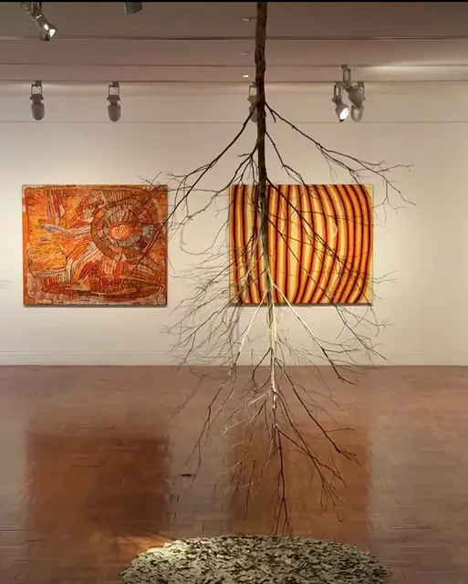 ADL🇦🇺| An art museum that's perfect for photography📷