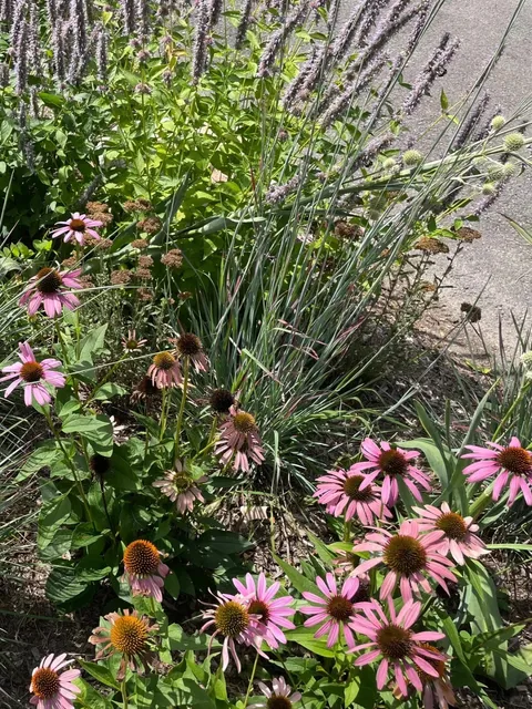 NY's Mountain Hideaway: Coffee with a View ☕️