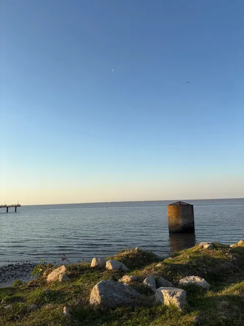 📍A park across an ordinary river in Buenos Aires✨