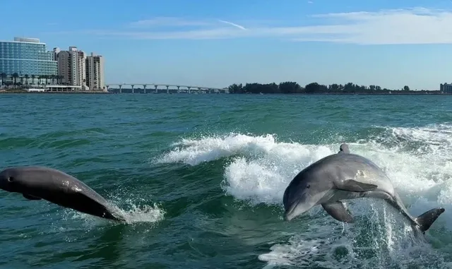 Car-Free Travel Diary in Tampa!