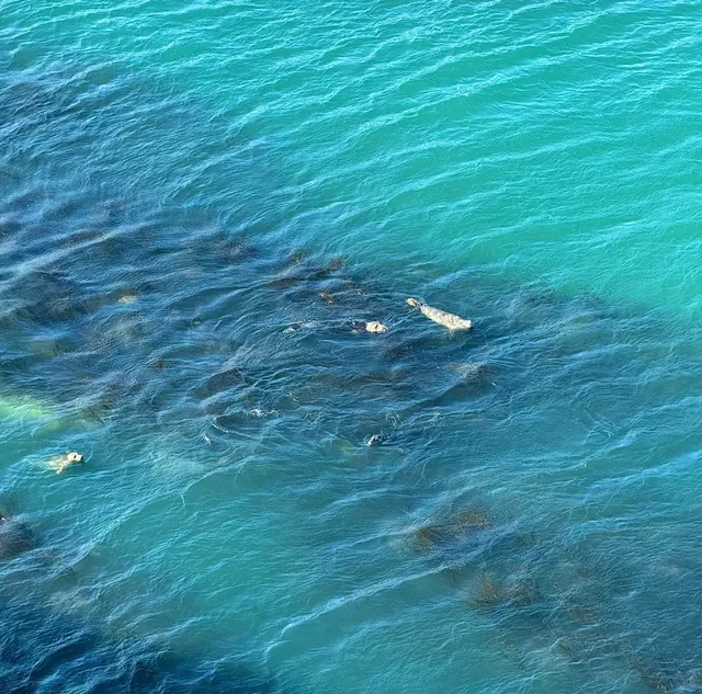 🇬🇧 Hidden Gem Near Hull: Bridlington's Mini White Cliffs! 🌊✨