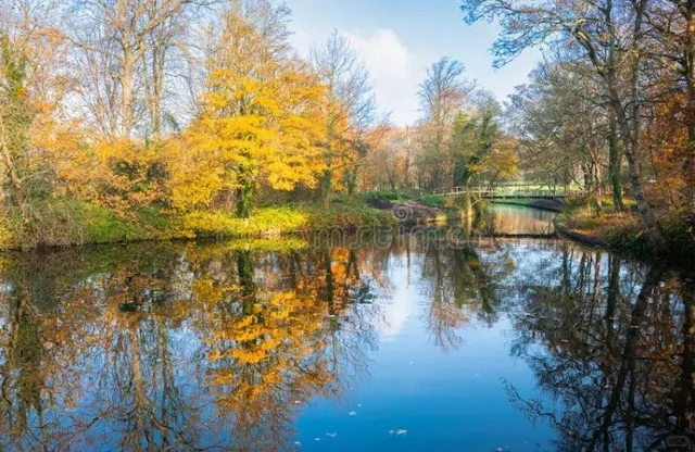 🌹 Westbroekpark: The Hague’s Most Romantic Garden