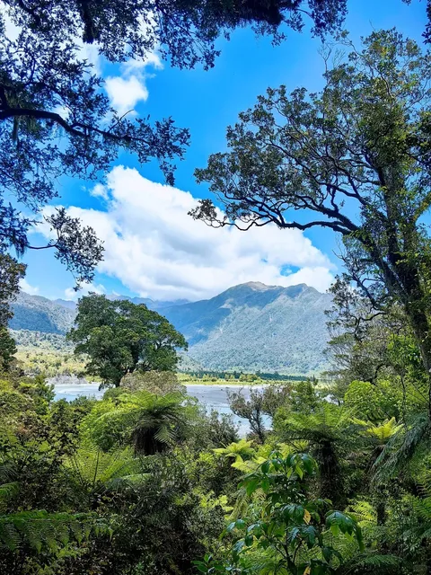 🇳🇿 New Zealand South Island Road Trip: Greymouth