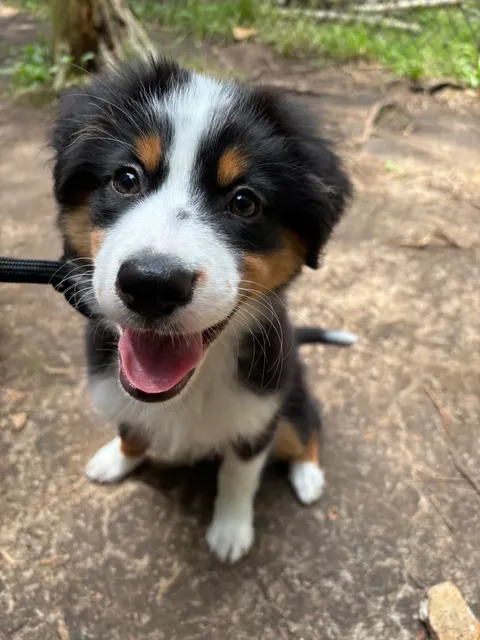 ​​🇨🇦 | A Perfect Day Trip to Elora with Mom!​​