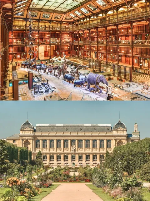 Paris's Museum is Just Too Cool 🦕