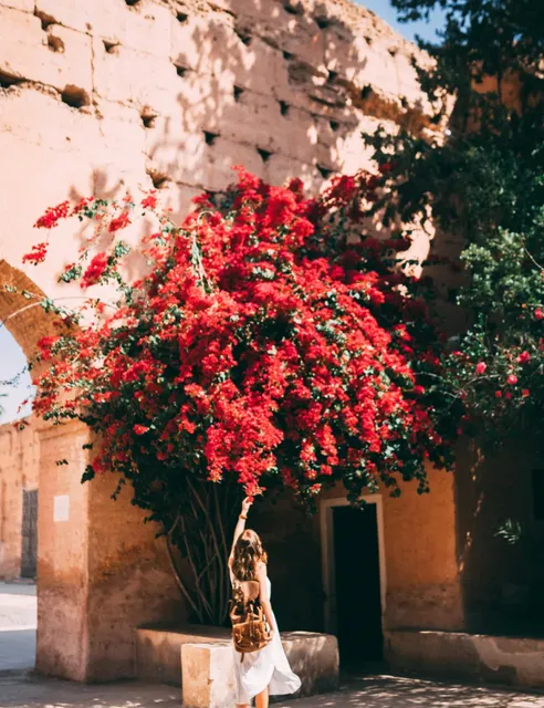 ​​Morocco's "Hollywood" – A Must-Visit Hidden Gem!​​