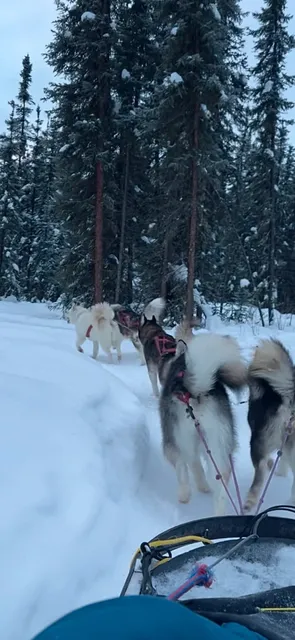 🇺🇸 Fairbanks, Alaska 5-Day Full Guide (Part 1) 