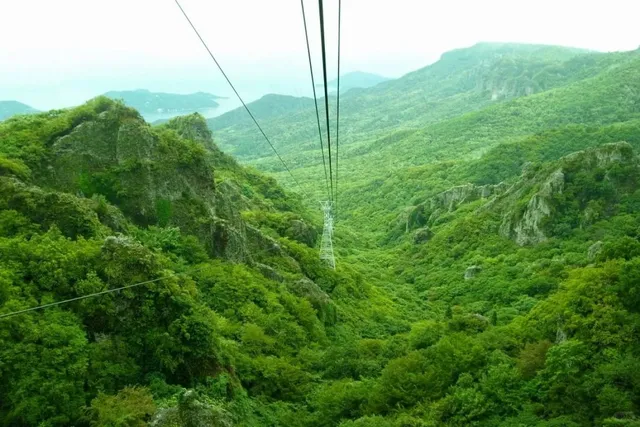Shodoshima Island Hopping Sightseeing Bus 🚌🌸