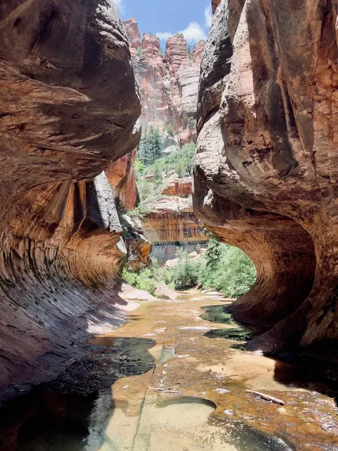 🏞️ Zion National Park | Subway Top-Down: A Thrilling Hidden Gem