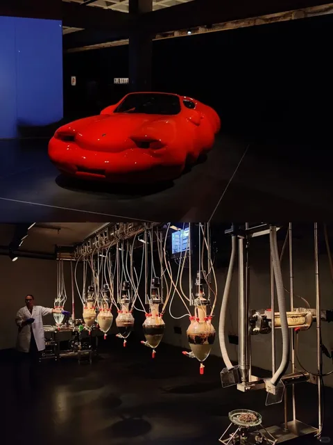 Tasmania | 4-Day Hobart Trip — No Car Needed!