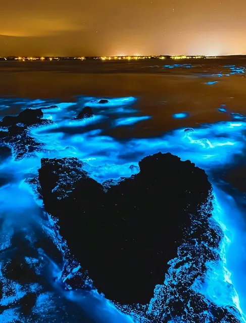  Australia｜Blue Tears: Nature's Glowing Magic