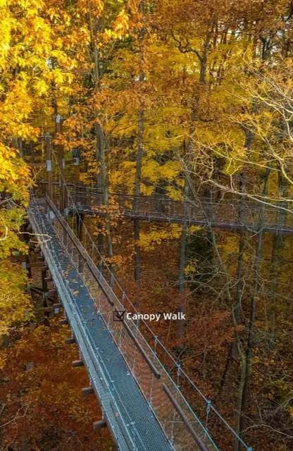 🌊 Lake Erie Bluffs | Where the Wild Lake Meets the Sky