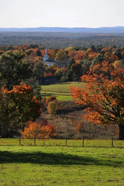 Suburban Autumn Appreciation 🍁 Movie-Style Morning Mist Farm