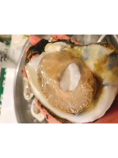 New Orleans Travel Guide 🇺🇸