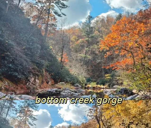 Fall Foliage Guide: Blue Ridge Mountains in Virginia 🍂